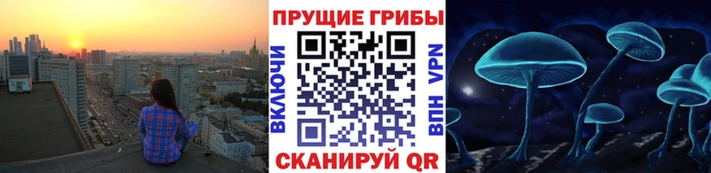 Псилоцибиновые грибы прущие грибы закладка Карабаш